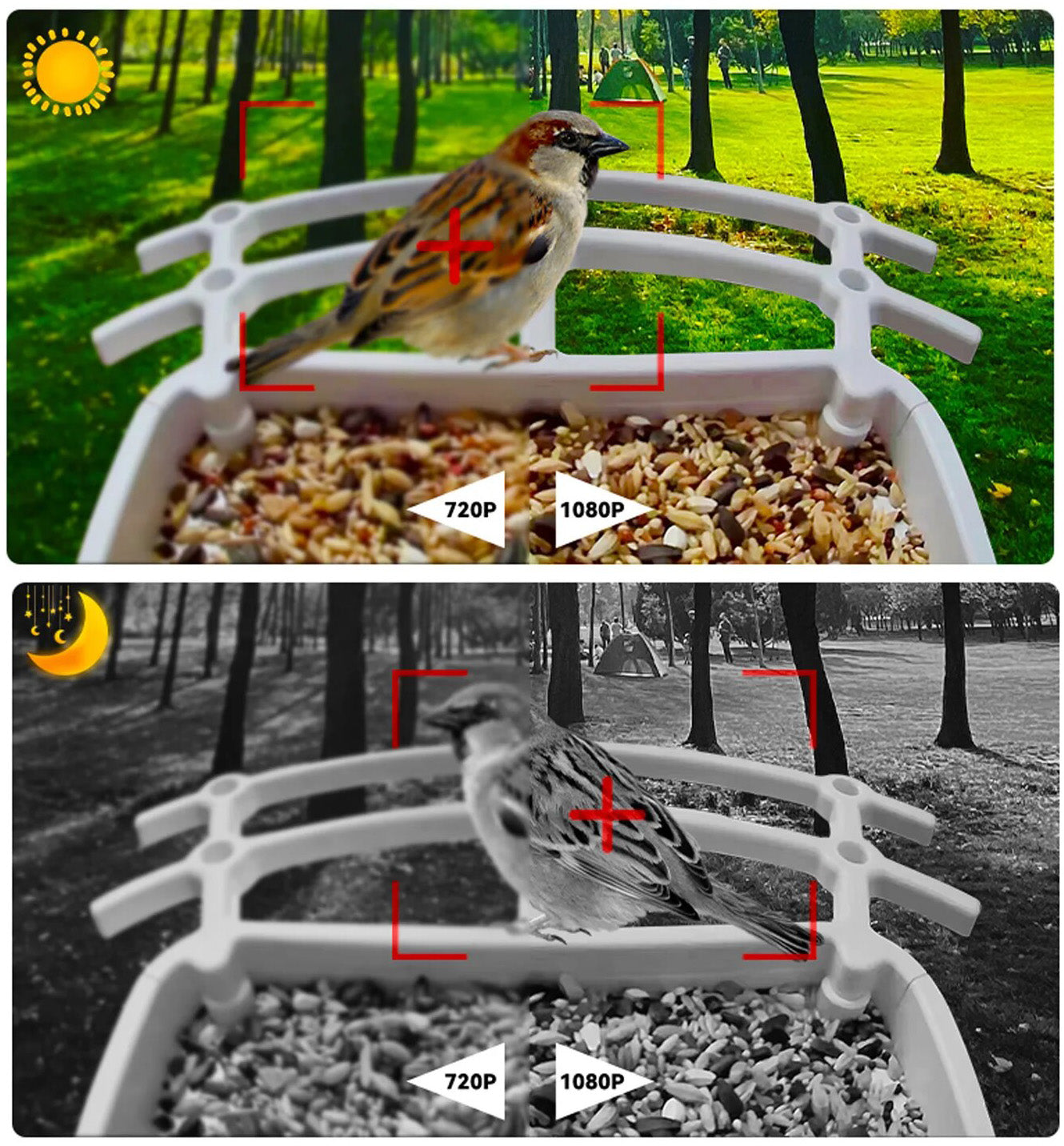 Smart Solar Fuglemater | Intelligent solcelledrevet fuglemater 